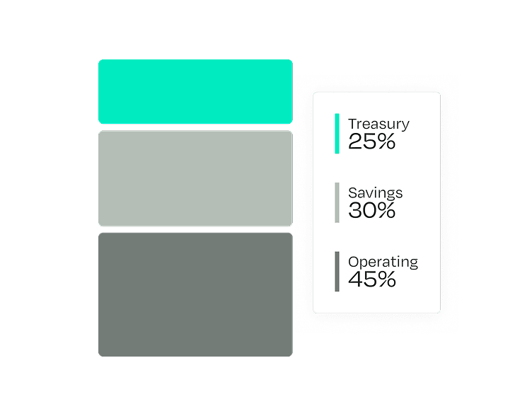 A vertical bar chart with three colored segments: Treasury 25%, Savings 30%, Operating 45%, with corresponding percentages on the side.